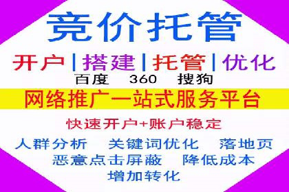 百度SEO推广公司案例精选：助力企业快速崛起